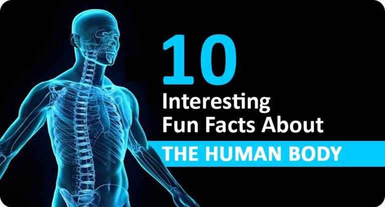 10 Interesting Fun Facts About The Human Body | Local Verandah